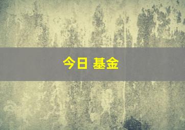 今日 基金